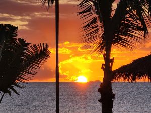 Club Wyndham Owner Karen N Wyn Entry