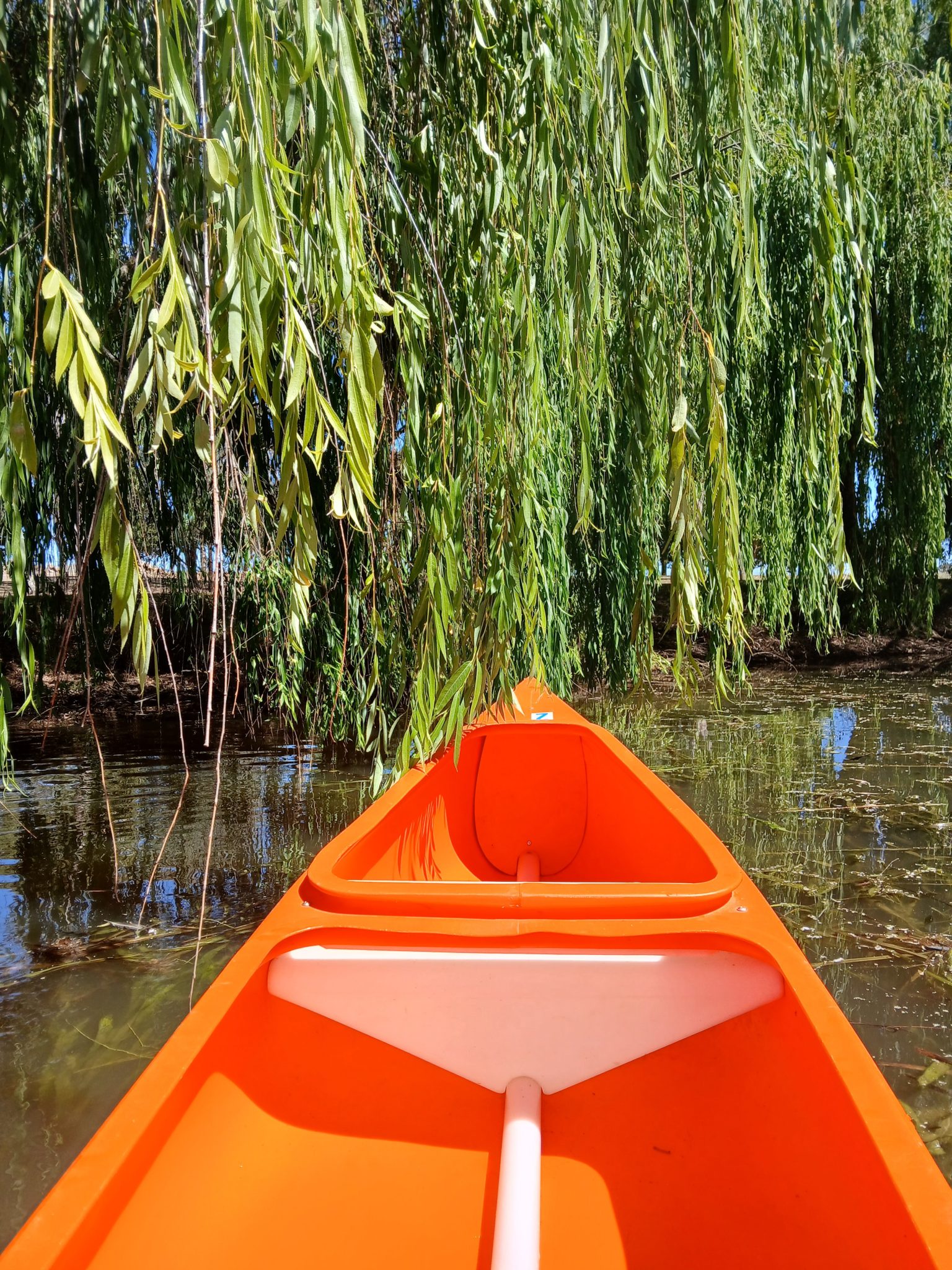 Club Wyndham Owner Tanya A Wyn Entry