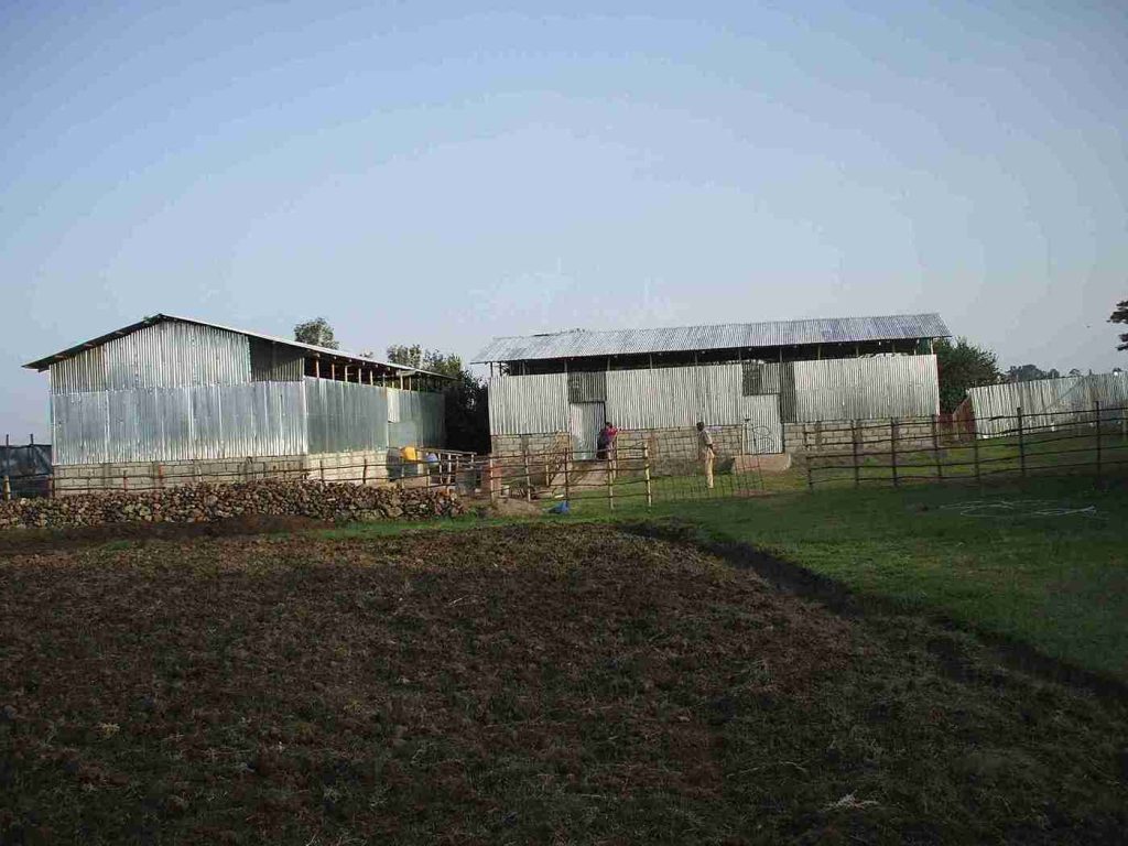 Club Wyndham Owner Zewditu T Wyn Entry