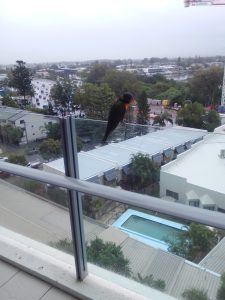 Club Wyndham Owner Gary C Wyn Entry