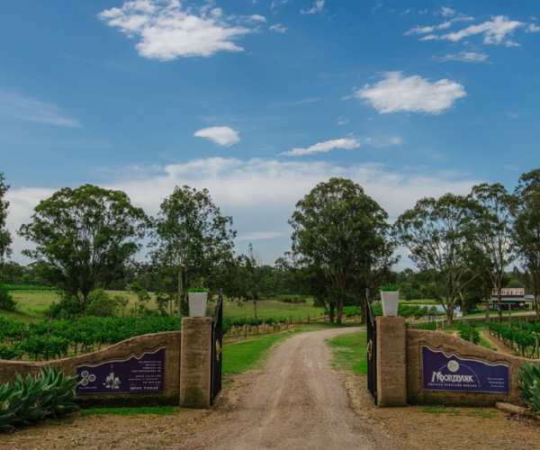 Moorebank Vineyard