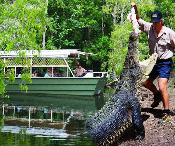 Hartley’s Crocodile Adventures