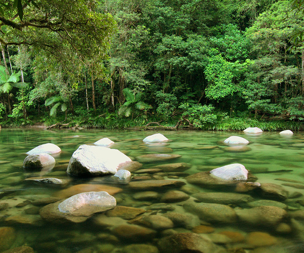 The Daintree Rainforest and Mossman Gorge
