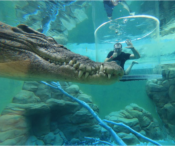 Crocosaurus Cove