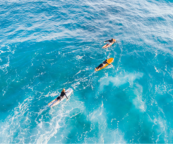 Port Stephens Surf School