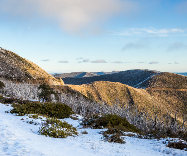 The Great Alpine Road