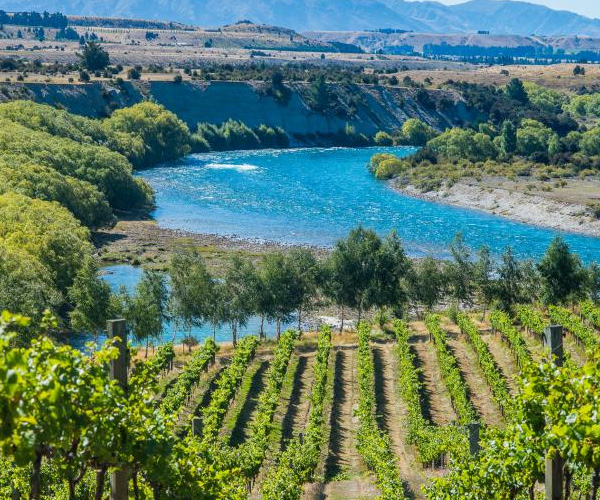 Wanaka Wine Tours