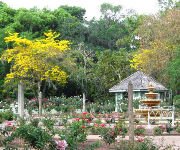 Harry P. Leu Gardens