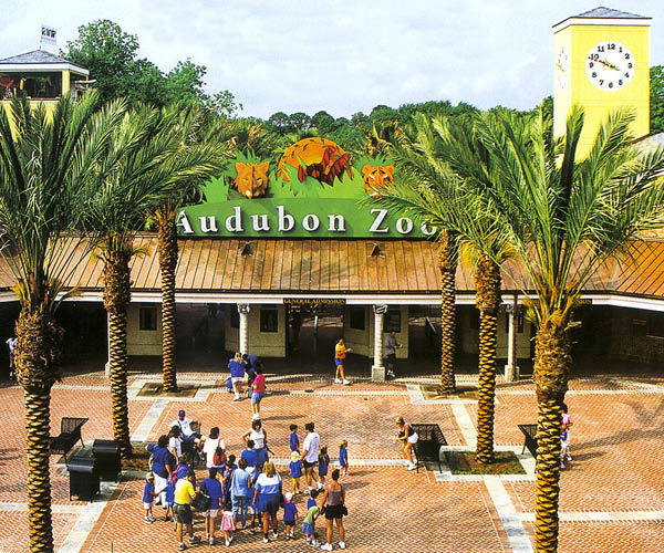 Audubon Zoo