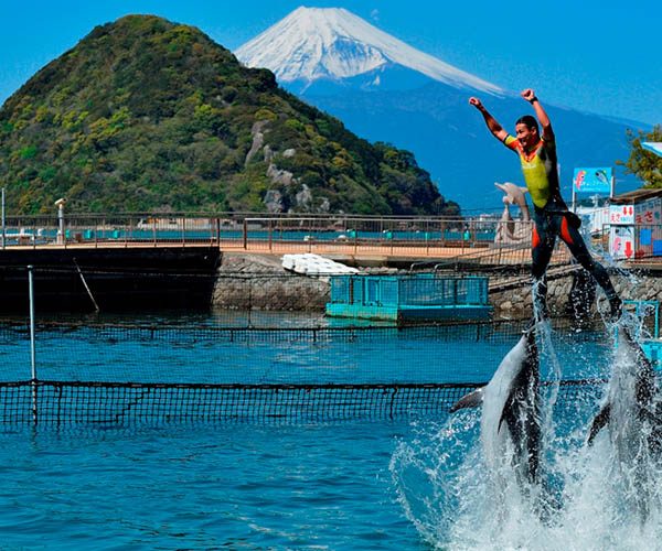 Izu Mito Sea Paradise