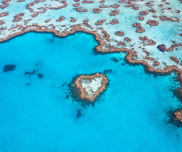 Heart Reef