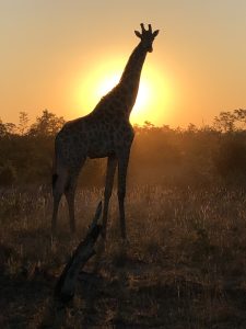 Club Wyndham Owner Kerry S Wyn Entry