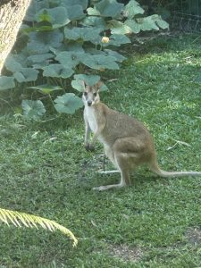 Club Wyndham Owner Winnie S Wyn Entry