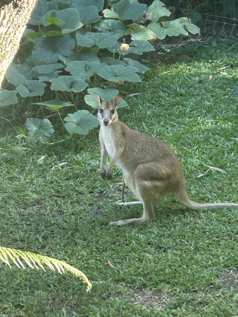 Club Wyndham Owner Winnie S Wyn Entry