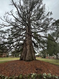 Club Wyndham Owner Leanne B Wyn Entry