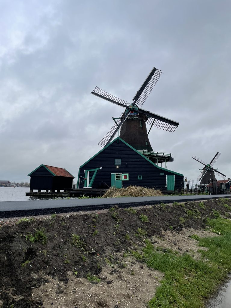 Club Wyndham Owner Robyn J Wyn Entry