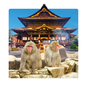 Discover Rich Culture Nagano