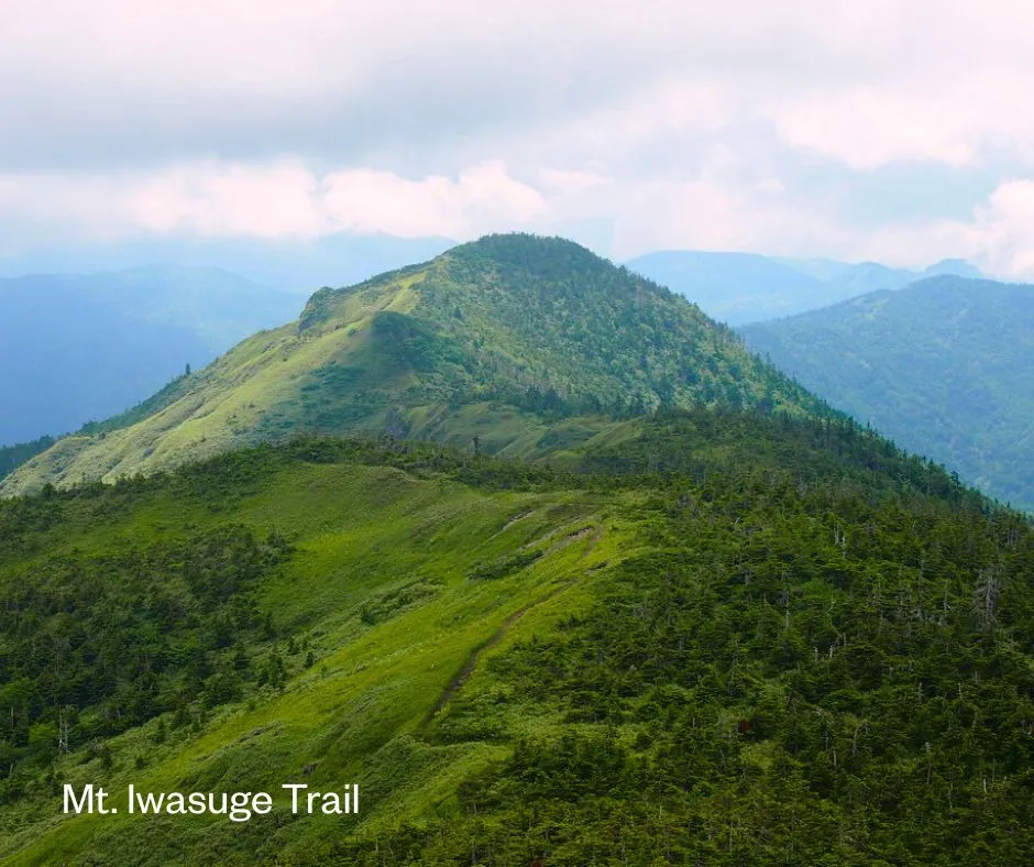 Mt. Iwasuge Trail